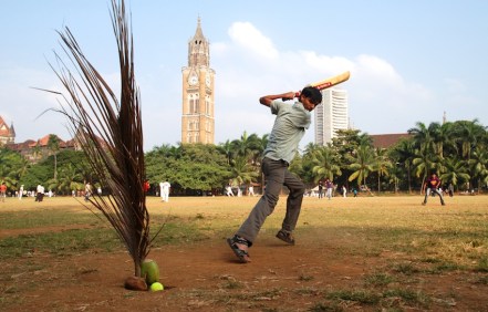 Palm branch as stump, Oval Maidan Mumbai ┬® Emma Levine 2010